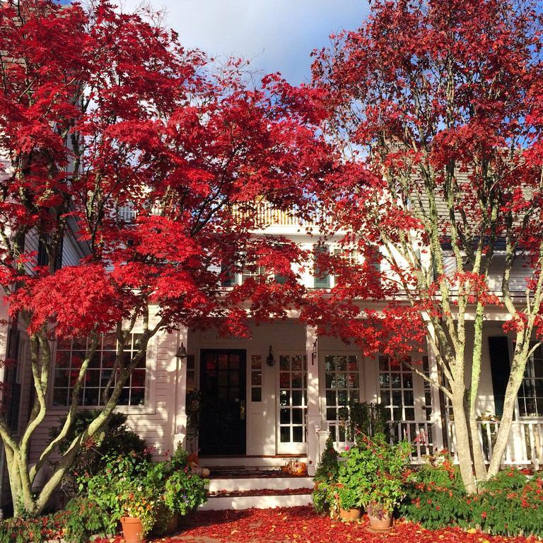 Hob Knob Hotel Edgartown Buitenkant foto